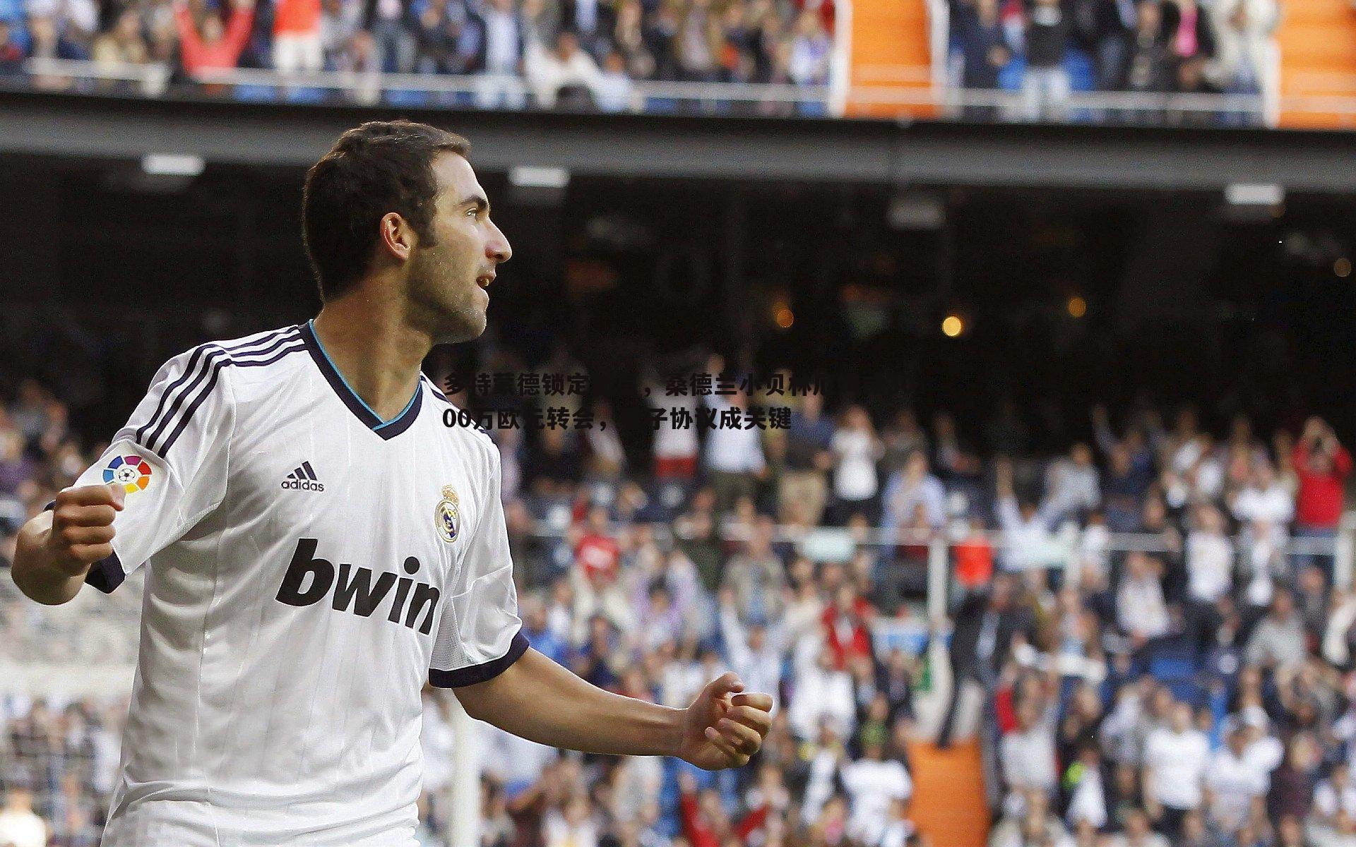 多特蒙德锁定新星,桑德兰小贝林厄姆或3000万欧元转会,君子协议成关键