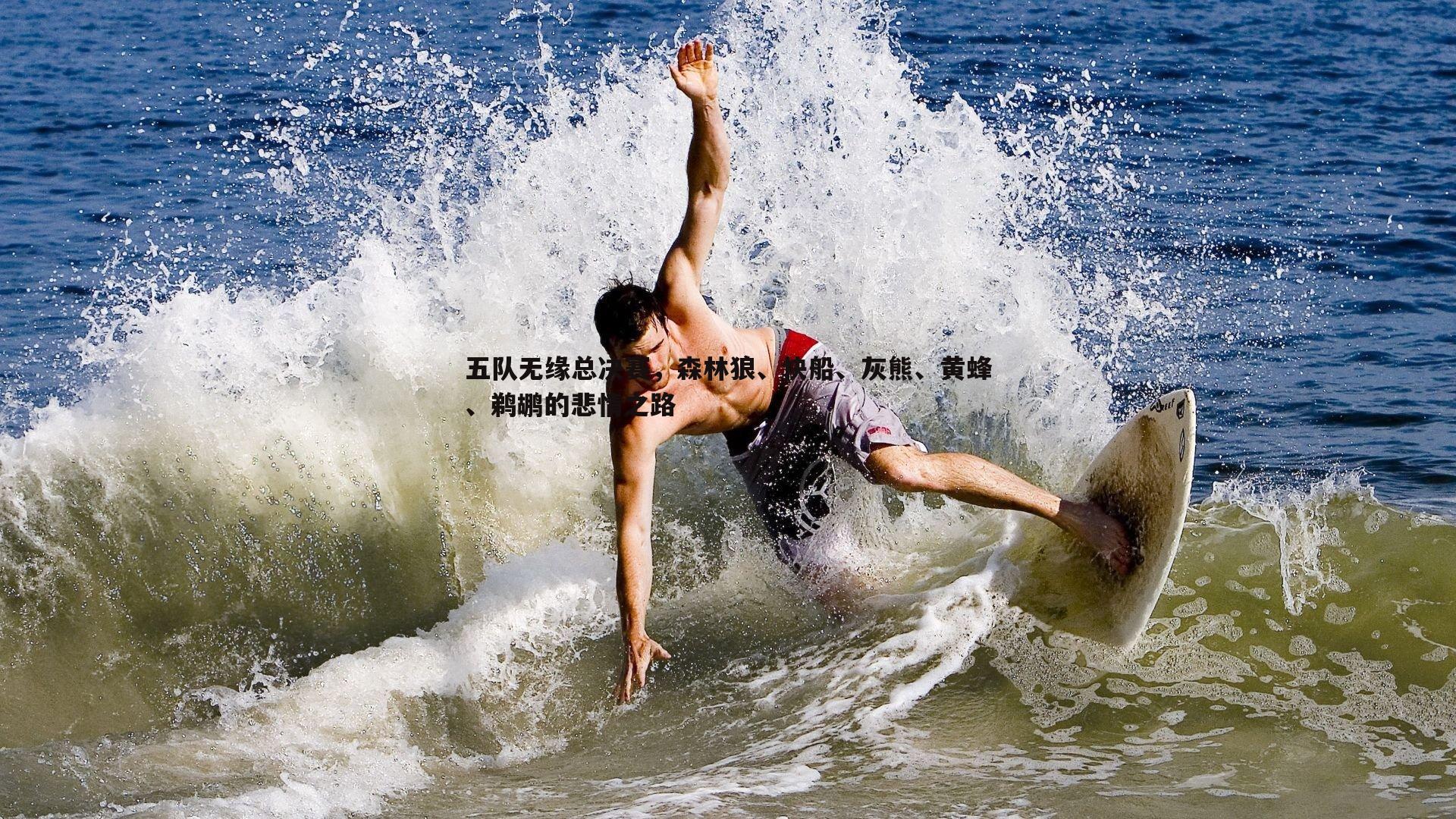 五队无缘总决赛,森林狼、快船、灰熊、黄蜂、鹈鹕的悲情之路