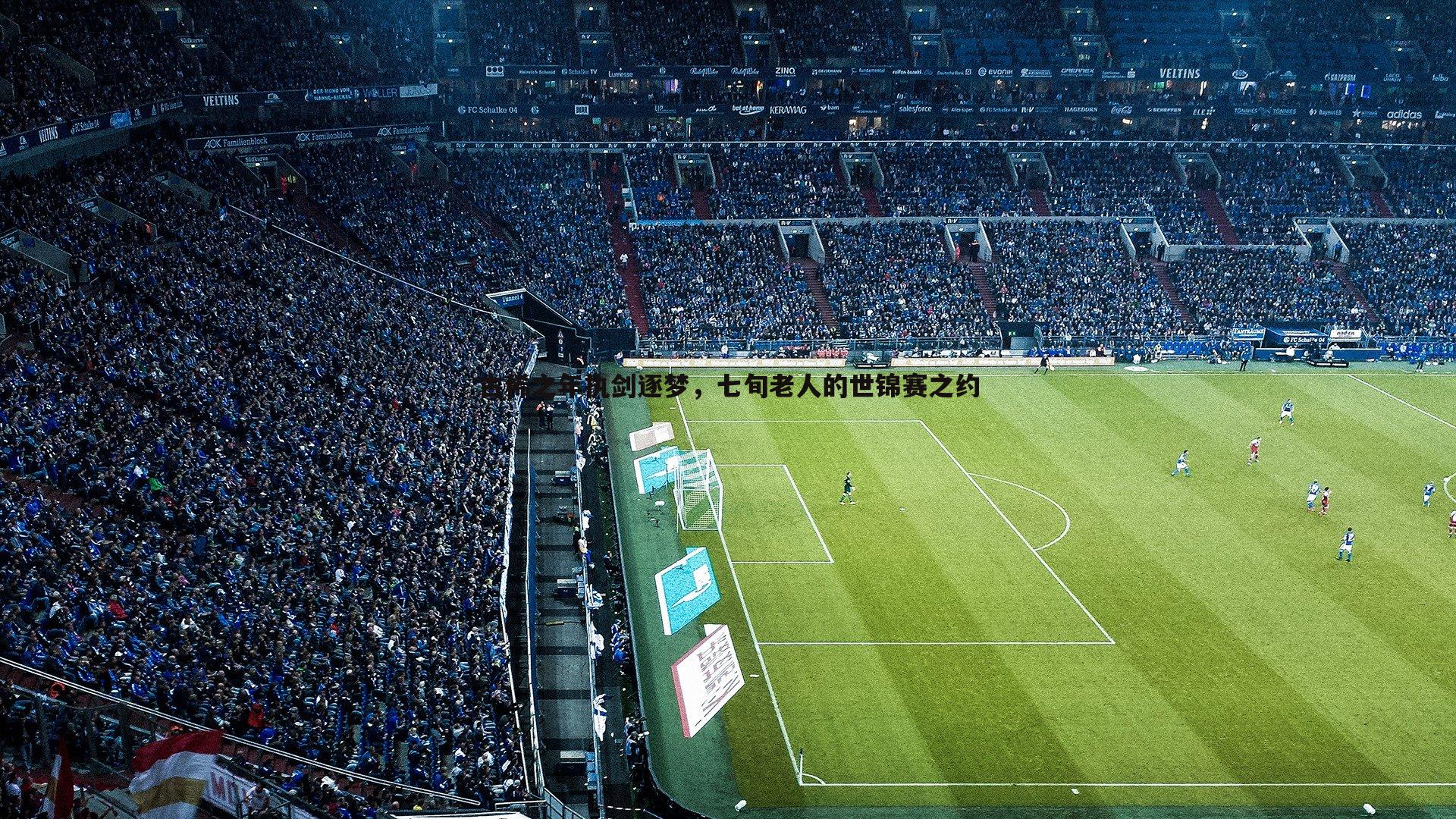 古稀之年执剑逐梦,七旬老人的世锦赛之约